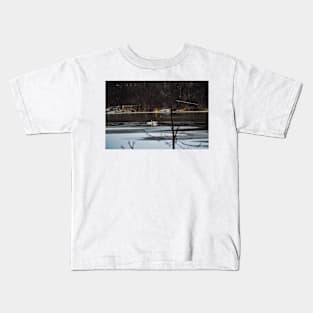 Winter Mating Swans Kids T-Shirt